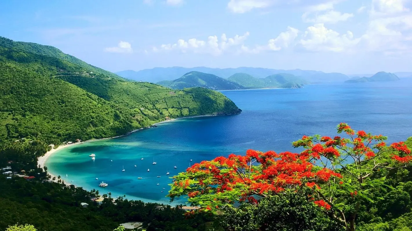高效高标准